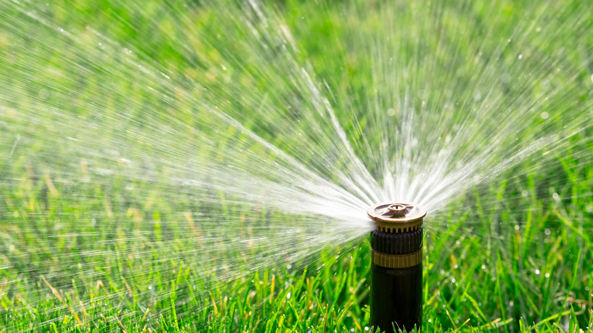 sprinklers